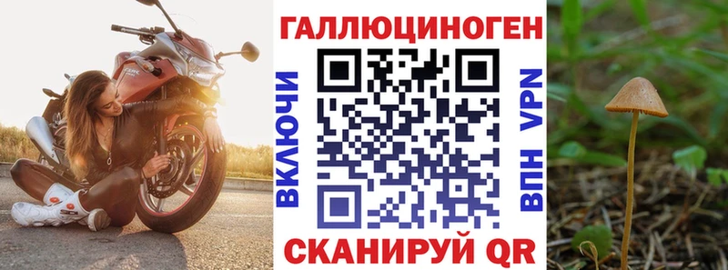 Галлюциногенные грибы ЛСД  мега маркетплейс  Салехард 